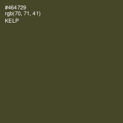 #464729 - Kelp Color Image
