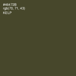 #46472B - Kelp Color Image