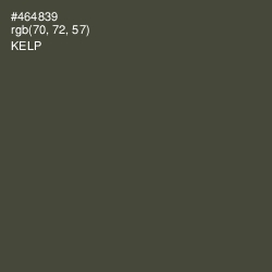 #464839 - Kelp Color Image