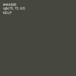 #46483E - Kelp Color Image
