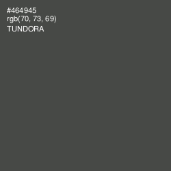 #464945 - Tundora Color Image