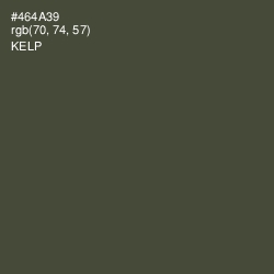 #464A39 - Kelp Color Image