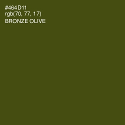 #464D11 - Bronze Olive Color Image