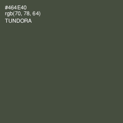 #464E40 - Tundora Color Image