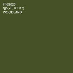 #465025 - Woodland Color Image