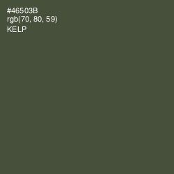 #46503B - Kelp Color Image