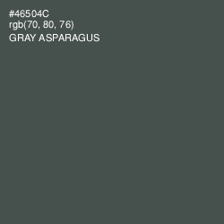 #46504C - Gray Asparagus Color Image