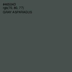 #46504D - Gray Asparagus Color Image