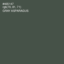 #465147 - Gray Asparagus Color Image