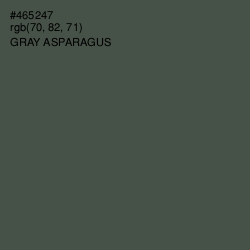 #465247 - Gray Asparagus Color Image