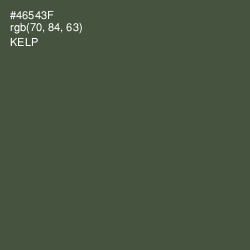 #46543F - Kelp Color Image