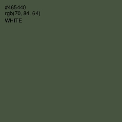 #465440 - Gray Asparagus Color Image