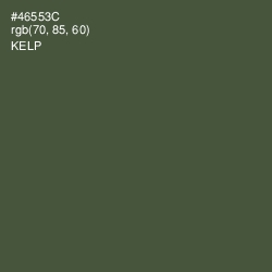 #46553C - Kelp Color Image