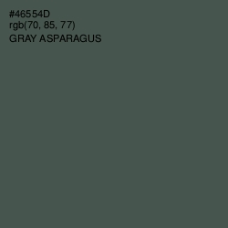 #46554D - Gray Asparagus Color Image