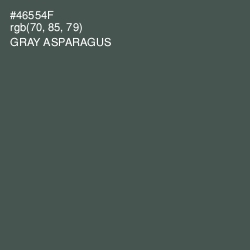 #46554F - Gray Asparagus Color Image