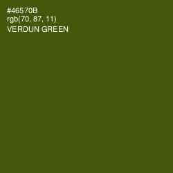 #46570B - Verdun Green Color Image