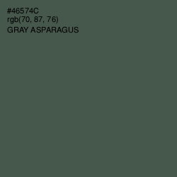 #46574C - Gray Asparagus Color Image