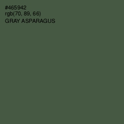 #465942 - Gray Asparagus Color Image