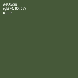 #465A39 - Kelp Color Image