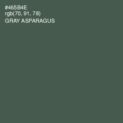 #465B4E - Gray Asparagus Color Image