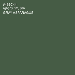 #465C44 - Gray Asparagus Color Image