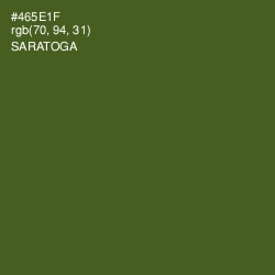 #465E1F - Saratoga Color Image