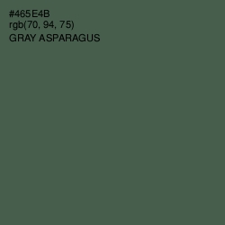 #465E4B - Gray Asparagus Color Image