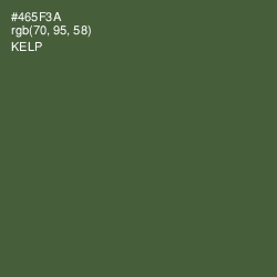 #465F3A - Kelp Color Image