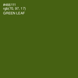 #466111 - Green Leaf Color Image