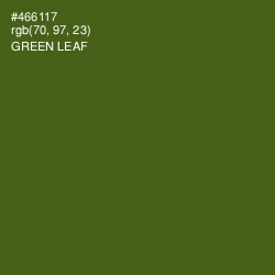 #466117 - Green Leaf Color Image