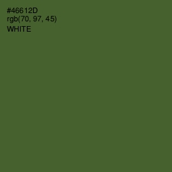 #46612D - Chalet Green Color Image