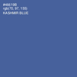 #46619B - Kashmir Blue Color Image