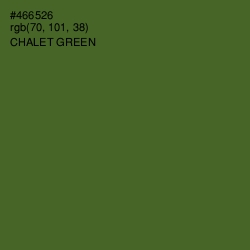 #466526 - Chalet Green Color Image