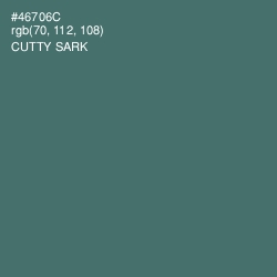 #46706C - Cutty Sark Color Image