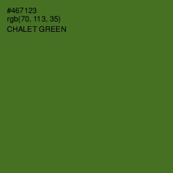 #467123 - Chalet Green Color Image