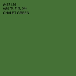 #467136 - Chalet Green Color Image