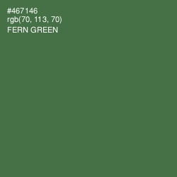 #467146 - Fern Green Color Image