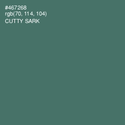 #467268 - Cutty Sark Color Image
