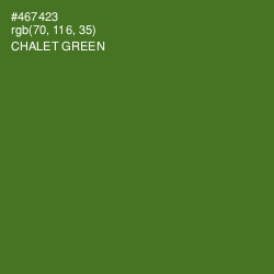 #467423 - Chalet Green Color Image