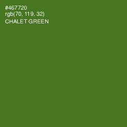 #467720 - Chalet Green Color Image