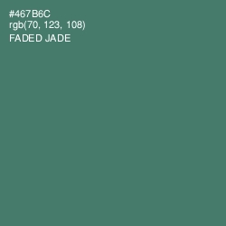 #467B6C - Faded Jade Color Image