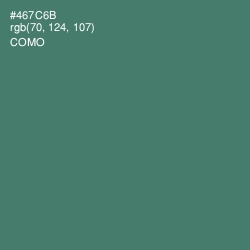 #467C6B - Como Color Image