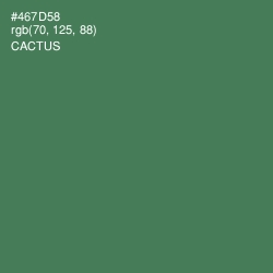 #467D58 - Cactus Color Image