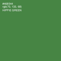 #468544 - Hippie Green Color Image