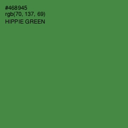 #468945 - Hippie Green Color Image