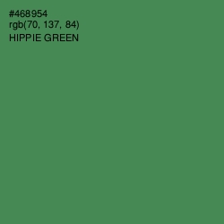 #468954 - Hippie Green Color Image