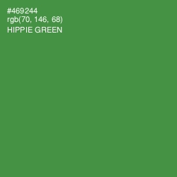 #469244 - Hippie Green Color Image