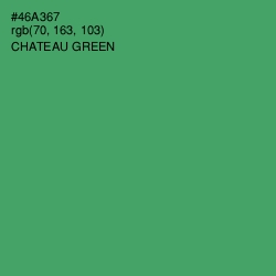 #46A367 - Chateau Green Color Image