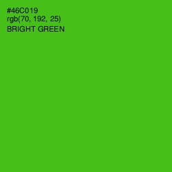 #46C019 - Bright Green Color Image