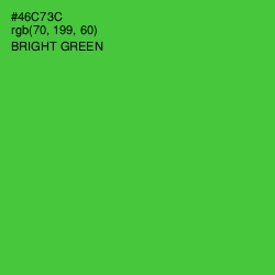 #46C73C - Bright Green Color Image